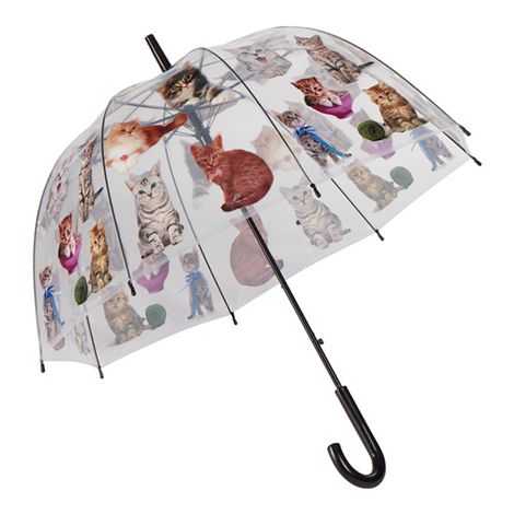 Bild Katzen Stockregenschirm